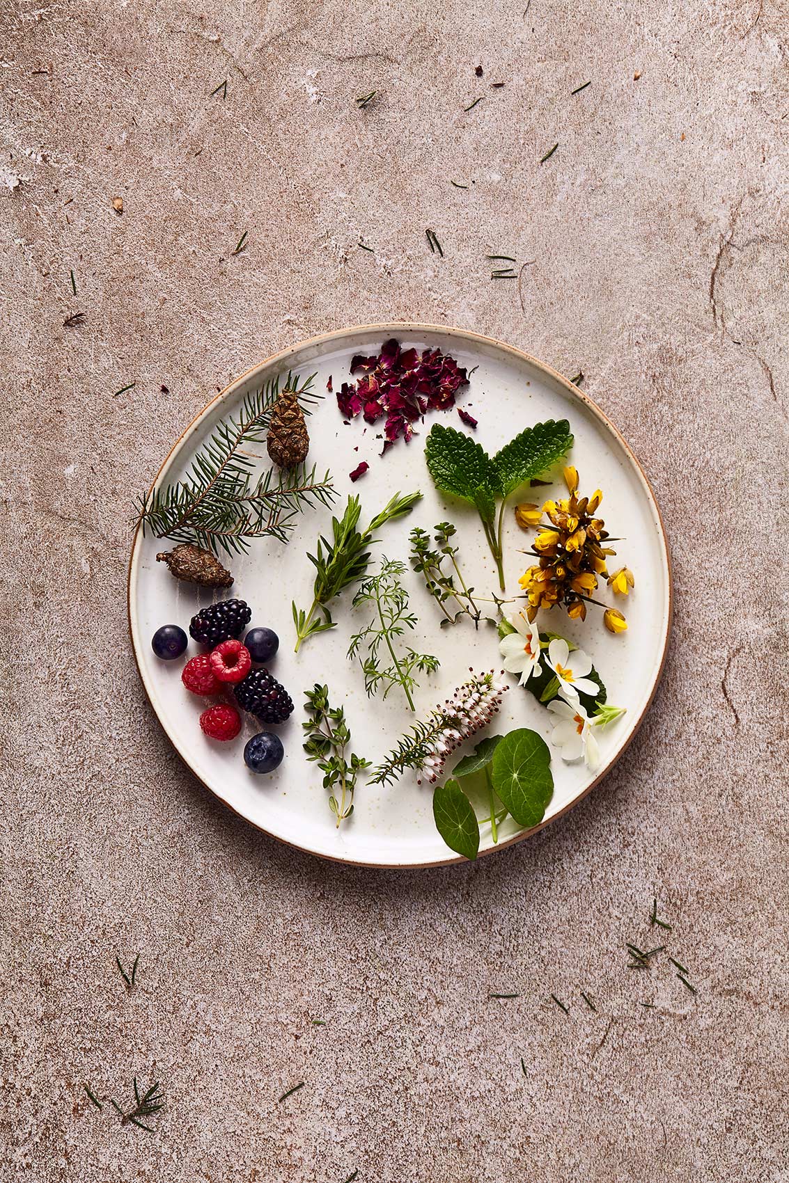 Foraged Leaves Herbs and fruits, Notes from Linn House, Food photographer Edinburgh