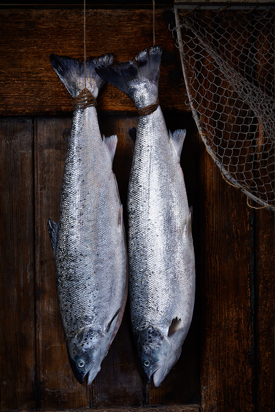 Freshly caught Loch Duart Salmon,  Glasgow and Edinburgh food photographer
