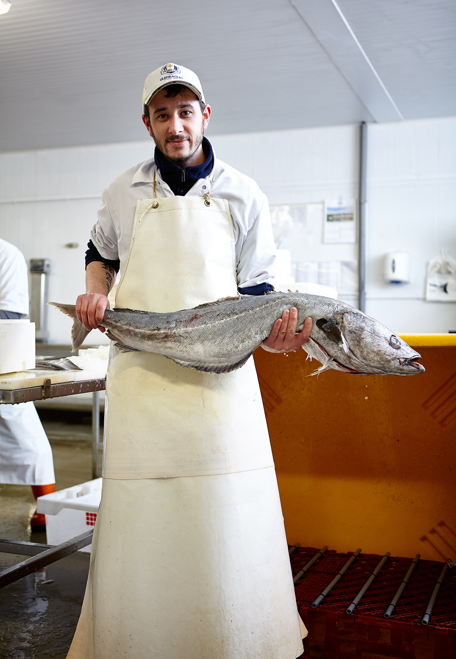 Mark, George Campbell Fishmongers